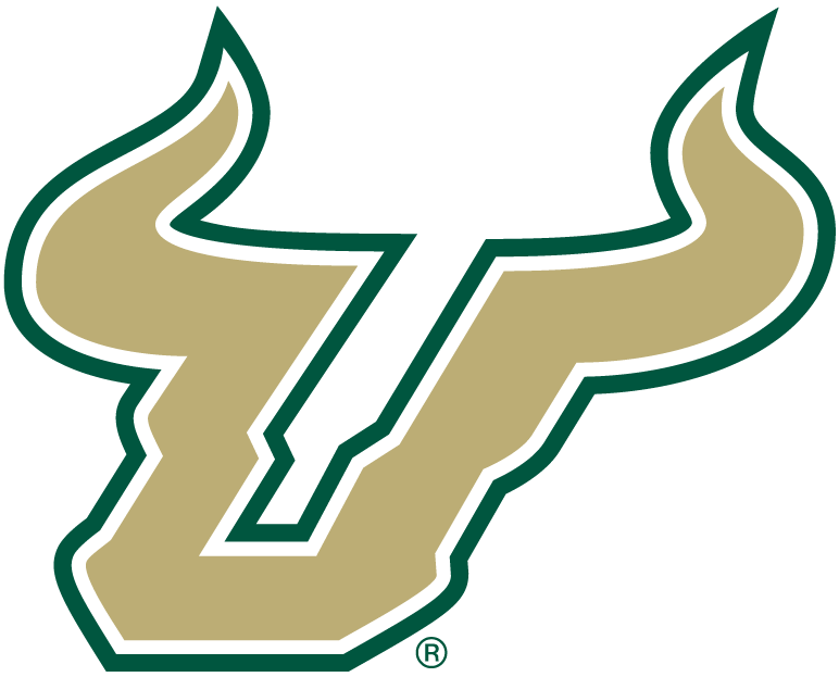 South Florida Bulls 2003-Pres Alternate Logo v2 iron on transfers for T-shirts